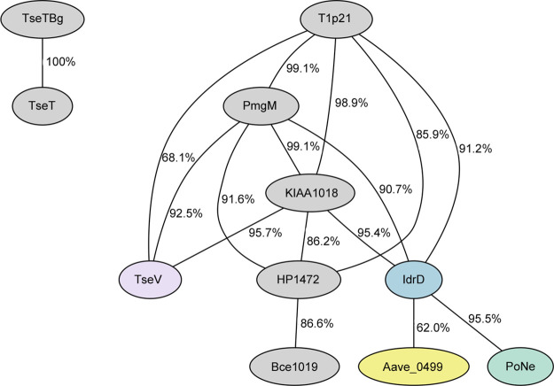 Figure 3—figure supplement 1.