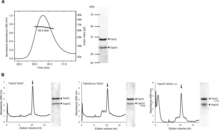 Figure 6—figure supplement 1.