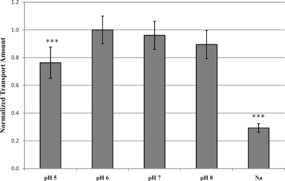 FIG. 4.