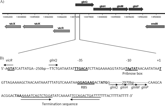 FIG. 1.