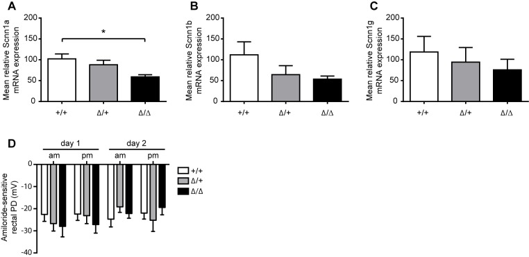 Fig 7