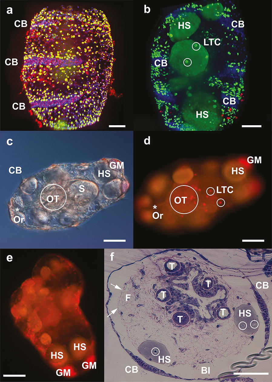 Fig. 4