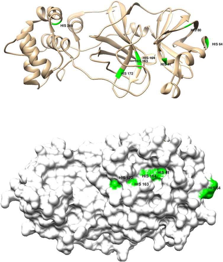 Fig. 9