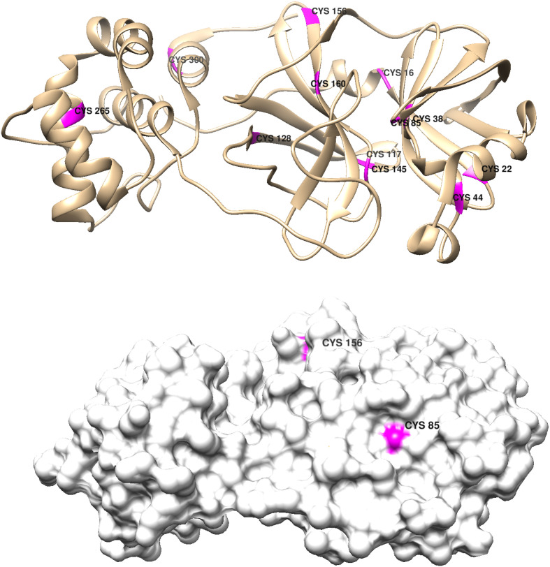 Fig. 11