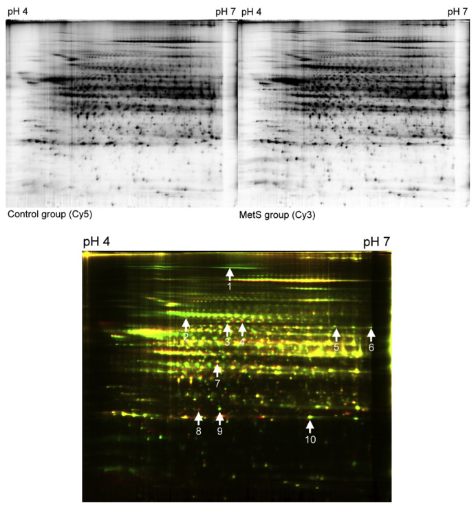 Figure 2