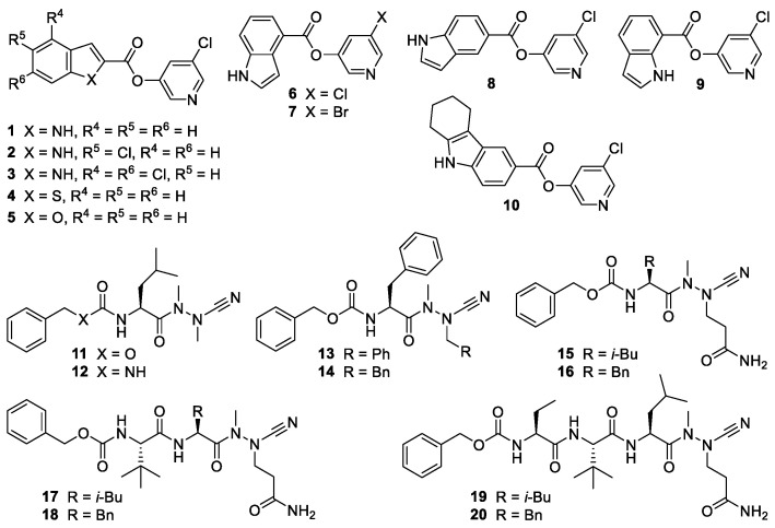 Figure 1