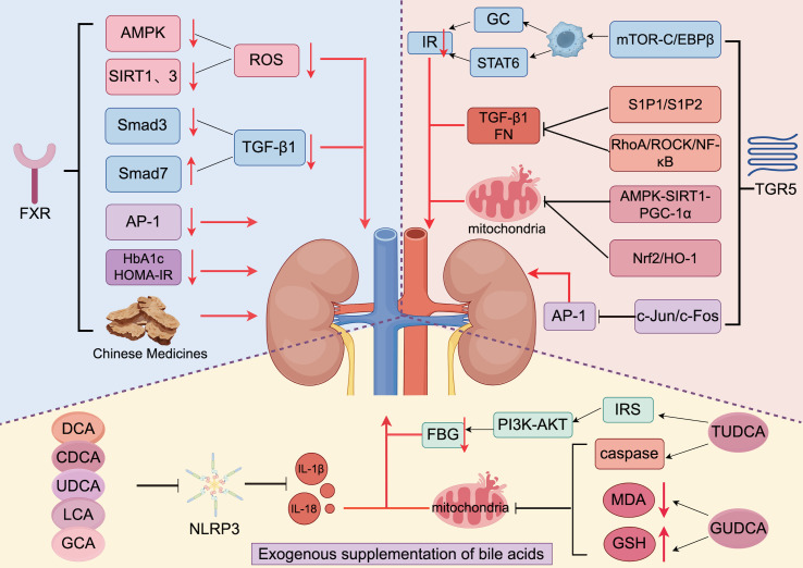 Figure 3