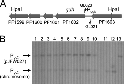 Fig. 3.