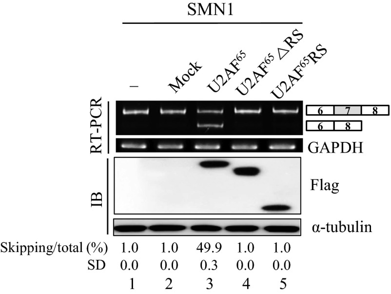 Fig. S2.