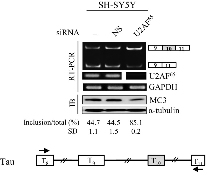 Fig. S1.