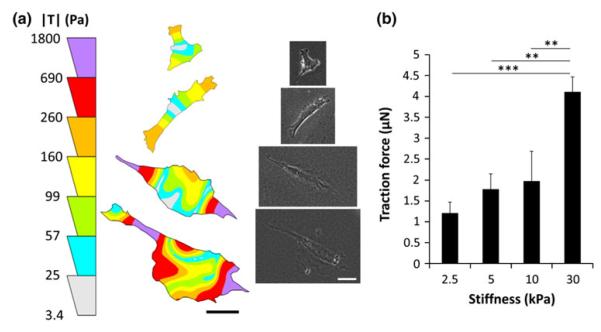 FIGURE 4