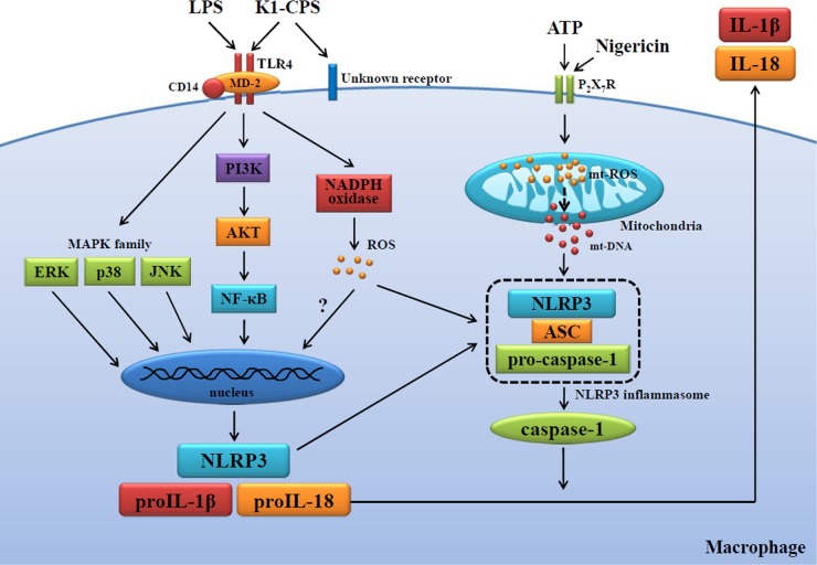 FIG 10