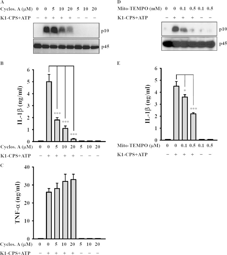 FIG 8