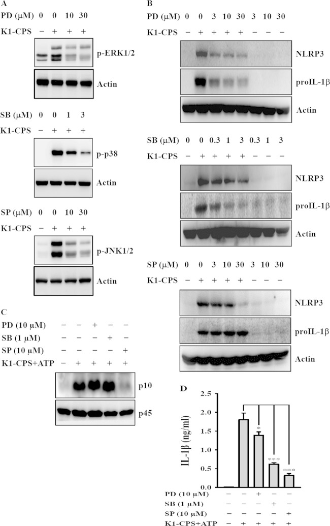 FIG 5