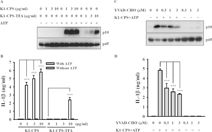 FIG 1