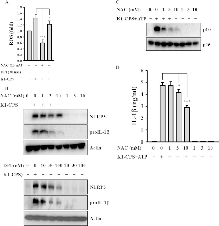 FIG 6