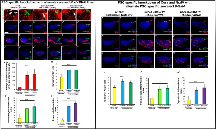 Figure 2—figure supplement 3.