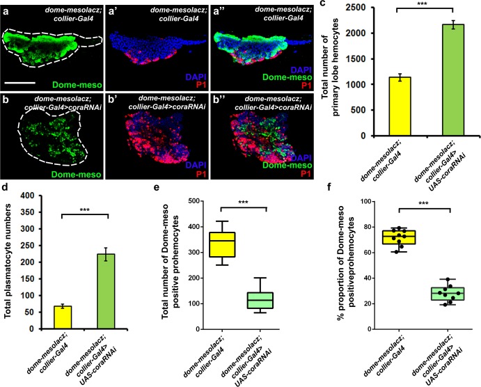 Figure 2—figure supplement 5.