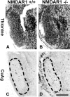 Figure 11.