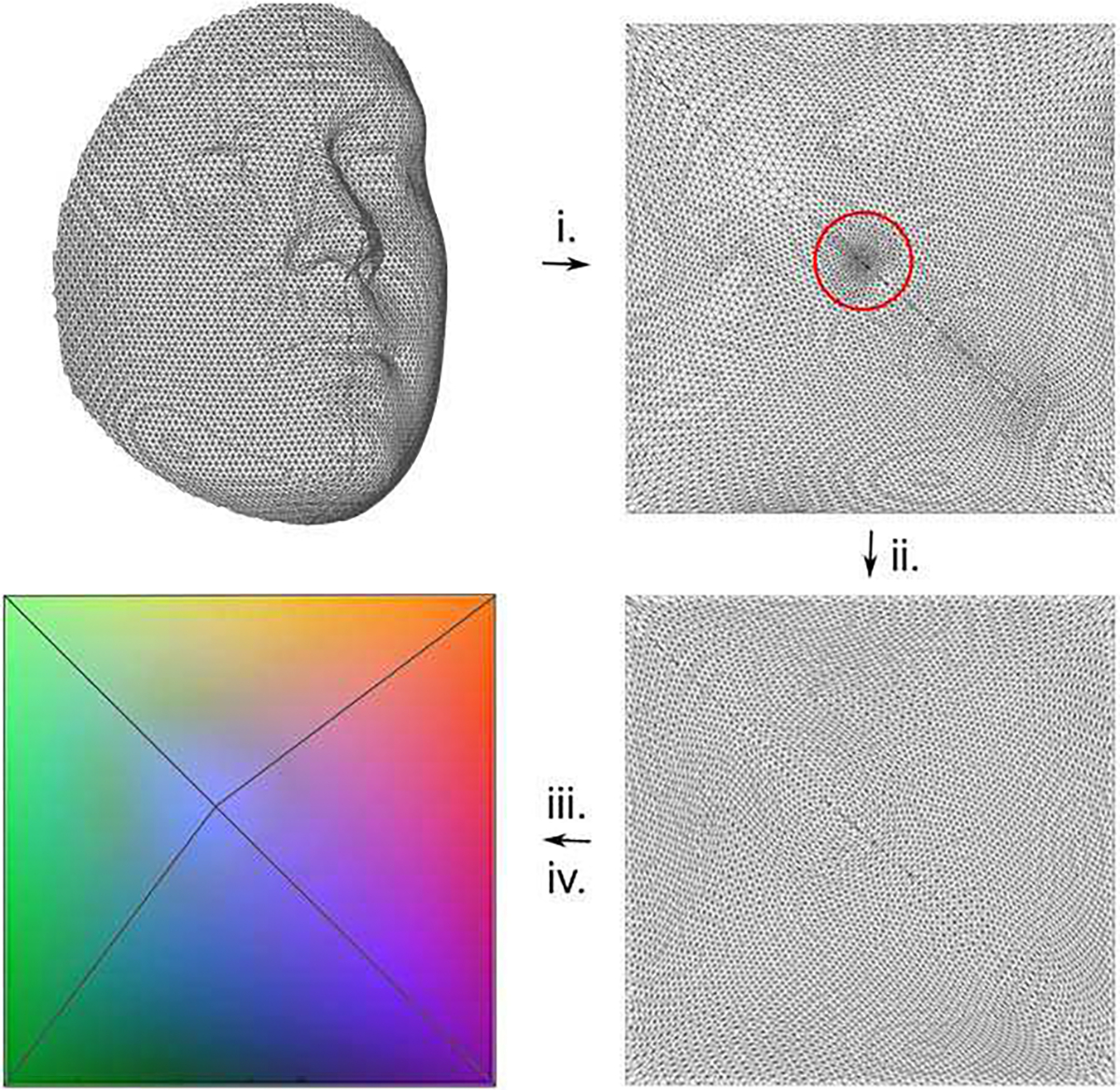 Fig. 4.