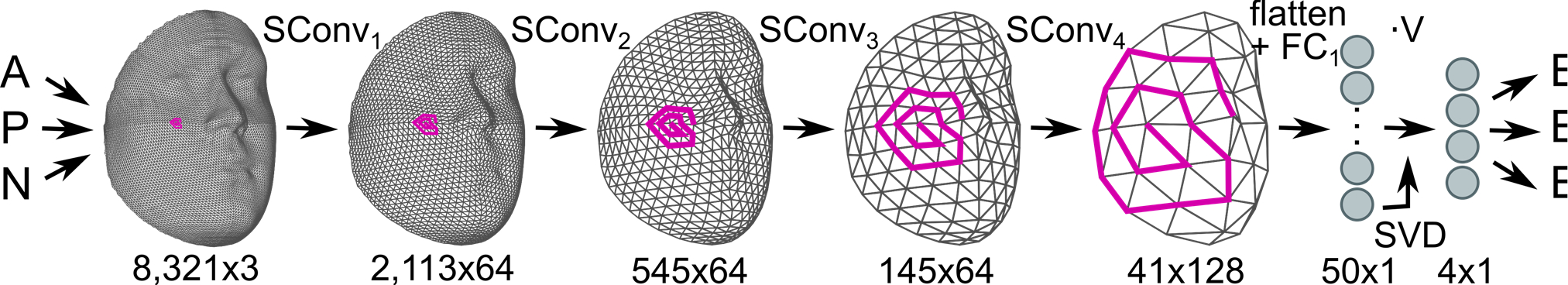 Fig. 5.