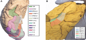 FIGURE 11.