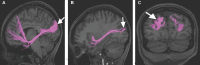 FIGURE 36.