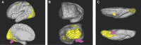 FIGURE 23.
