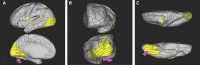FIGURE 13.