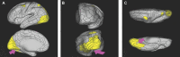 FIGURE 25.