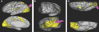 FIGURE 37.
