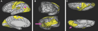 FIGURE 53.