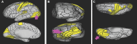 FIGURE 49.