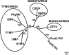 FIG. 6.