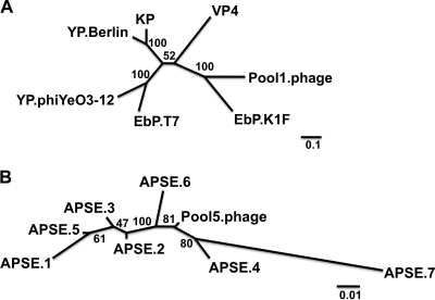 FIG. 7.