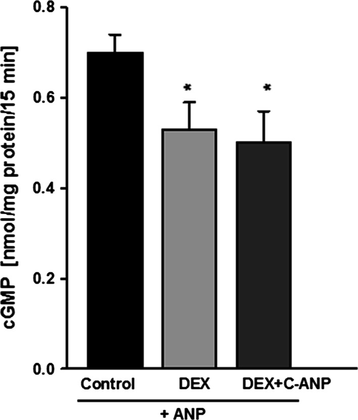 Fig. 3