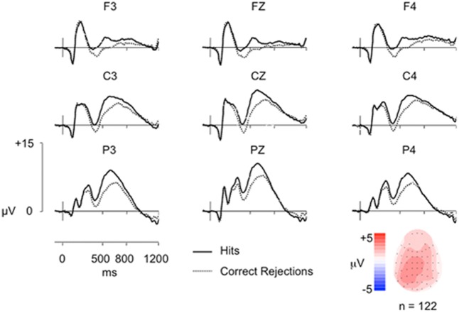 FIGURE 1