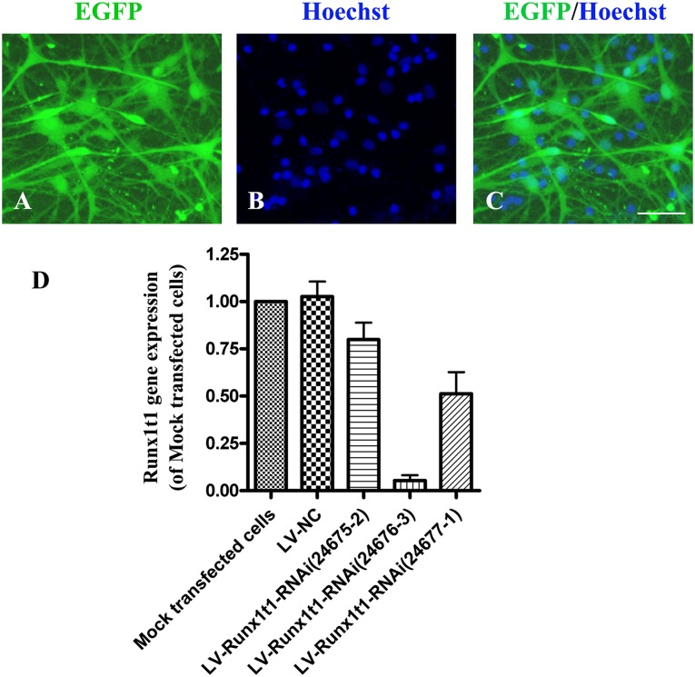 Figure 2.