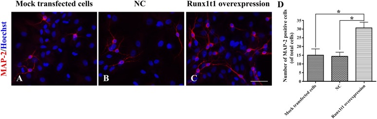 Figure 6.