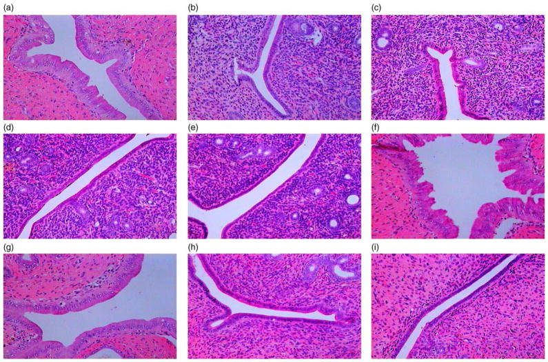 Fig. 8