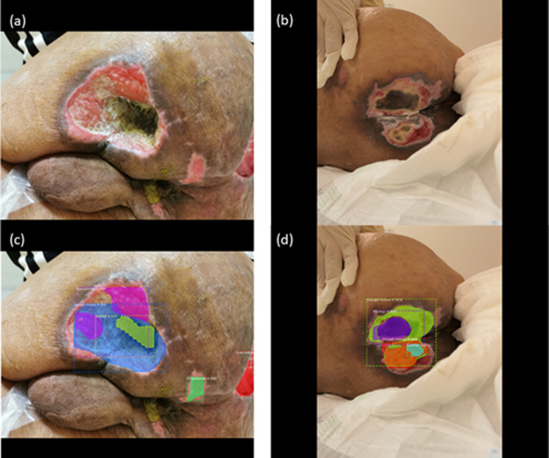 Fig 6