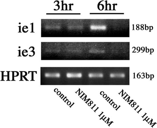 FIG. 6.