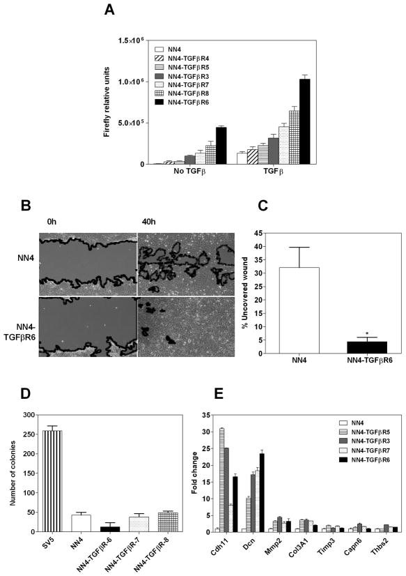 Fig 5