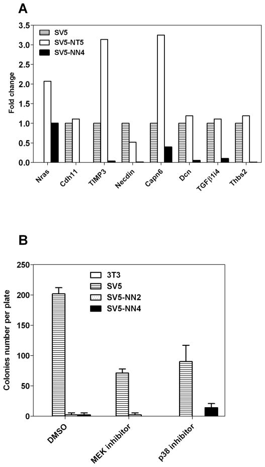 Fig 8