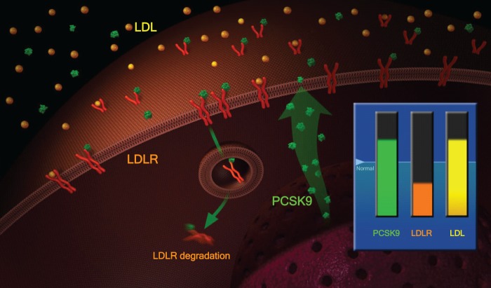 Figure 2.