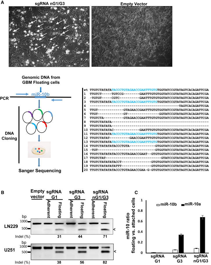 Figure 3