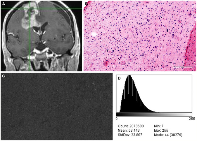 Figure 6