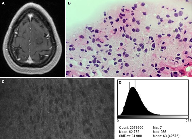 Figure 7