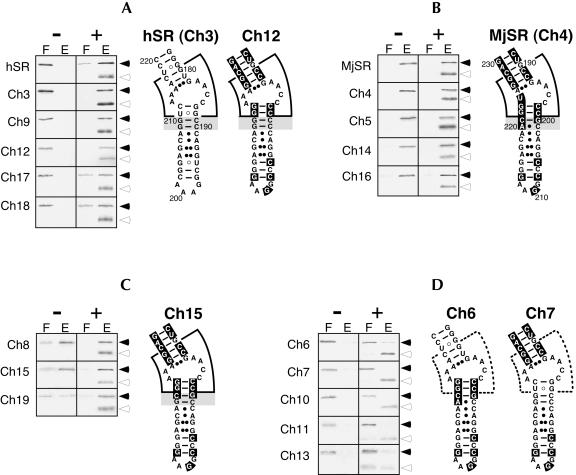 FIGURE 2.