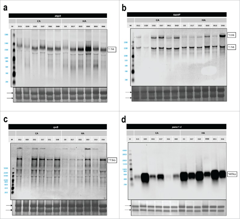 Figure 6.